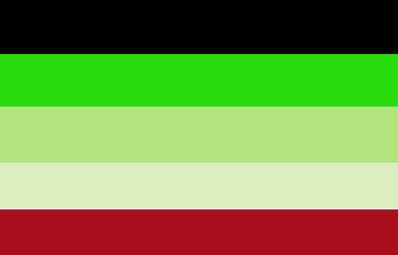 Kyle Flag